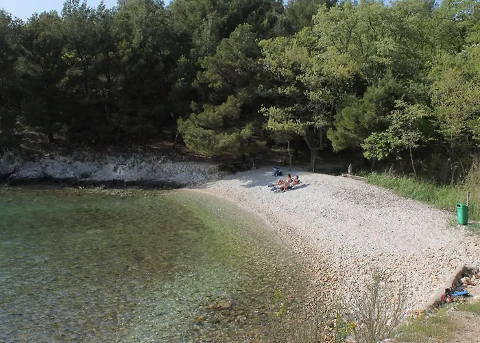 5464b * Pinezići